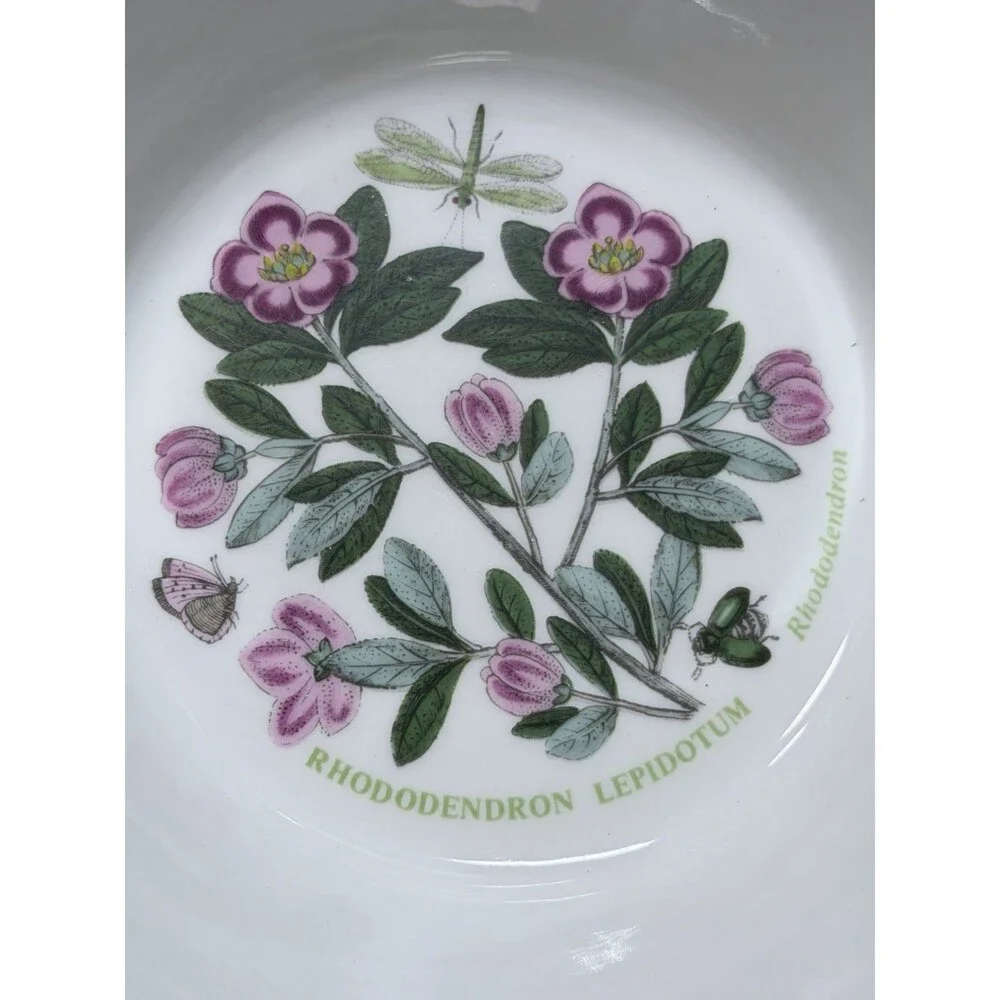 7 Portmeirion Botanic Garden 6.5
